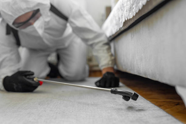 Professional Cockroach Control technician working in Howey-in-the-Hills, FL